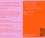 TRANSDISCIPLINARY WORKSHOP