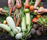 FEEDING THE PLANET - Shaping a Sustainable Future (4EU+)